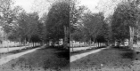 Up the Street From Baptist Hill