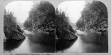Cavendish Falls and Black River