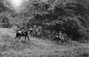 Bennington Historical Pageant