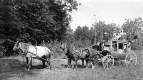 Horse and Carriage
