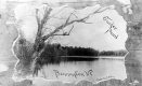 Sucker Pond