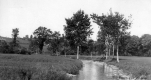 Rural Scene with Brook and Trees