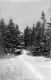 Winter Scene