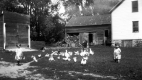 Howard Farm