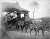 Child Driving horse drawn carriage