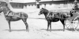 Tandem Cart