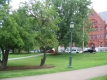 Williams Hall and University Green