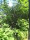 Winooski Falls Reshot