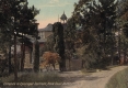 Entrance to Episcopal Institute