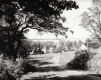 Early Algonquin Camp