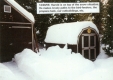 Harold on Top of the Snow Situation