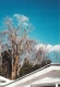 Cottage roof and blue sky