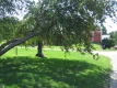 Horseshoe Barn
