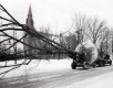 Winter Scene
