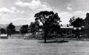 Brick House on Southern Acres