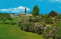 S.S. Ticonderoga and Lilacs in Bloom