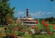 S.S. Ticonderoga with Roses in Bloom