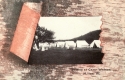 Camp Watson