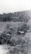Wells' Homestead
