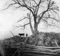 Split Rail Fence