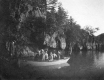 Dr. Holcolmb on the Lamoille River