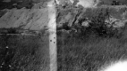 Building the New Road