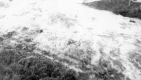 High Water Behind the Clark Building