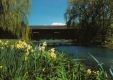 Covered Bridge