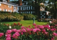 Brick House Framed by Peonies