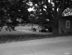 A.C. Prouty and D.E. Prouty Property