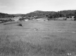 William D. and Hazel C. Hall Property