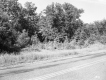 Frey Property