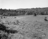 Frey Property