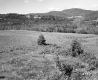Frey Property