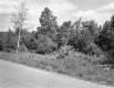 Coop Property