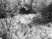 Coop Property