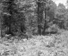 Saunders Brothers' Property