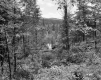 Saunders Brother's Property
