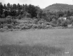 Gordon B. and Evelyn J. Graham's Property
