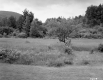 Gordon B. and Evelyn J. Graham's Property