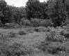 Gus and Luella Lambert's Property