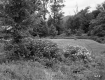 Gus and Luella Lambert's Property