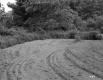 Gus and Luella Lambert's Property