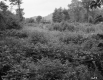 Warren H. Colson's Property