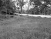 Warren H. Colson's Property