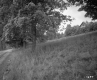 Warren H. Colson's Property