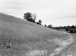 Small Hill and dirt road