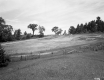 Field and fence