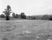 Gladys P. Rowe Property