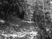 E.J. and E.D. Adams Property